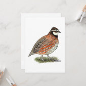 Bobwhite Quail Rooster Karte (Vorderseite/Rückseite Beispiel)