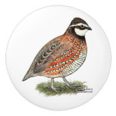 Bobwhite Quail Rooster Keramikknauf (Vorderseite)