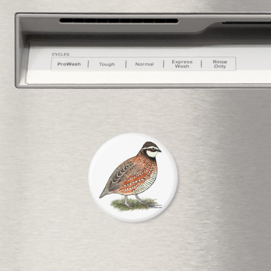 Bobwhite Quail Rooster Magnet (In Situ (Geschirrspüler))
