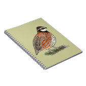 Bobwhite Quail Rooster Notizblock (Rechte Seite)