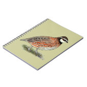 Bobwhite Quail Rooster Notizblock (Linke Seite)