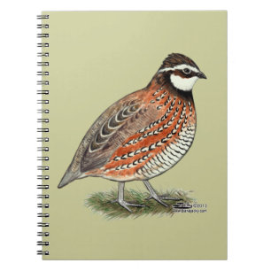 Bobwhite Quail Rooster Notizblock