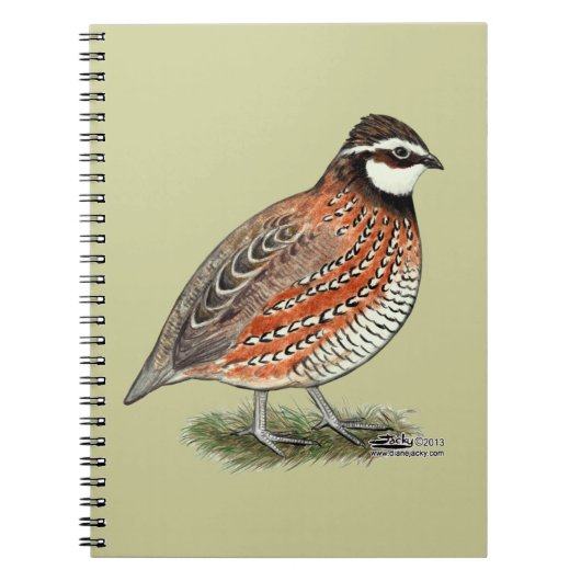 Bobwhite Quail Rooster Notizblock (Vorderseite)