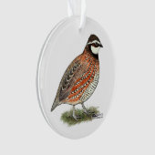 Bobwhite Quail Rooster Ornament (Vorderseite)