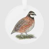 Bobwhite Quail Rooster Ornament (Rückseite)