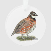 Bobwhite Quail Rooster Ornament (Vorderseite)