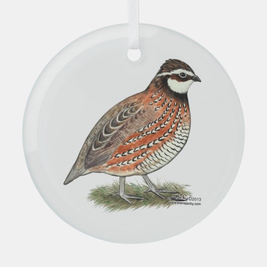 Bobwhite Quail Rooster Ornament Aus Glas (Vorderseite)