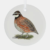 Bobwhite Quail Rooster Ornament Aus Glas (Rückseite)