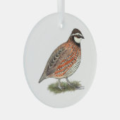Bobwhite Quail Rooster Ornament Aus Glas (Vorderseite Rechts)
