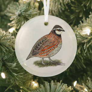Bobwhite Quail Rooster Ornament Aus Glas