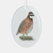Bobwhite Quail Rooster Ornament Aus Glas (Vorderseite links)