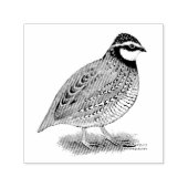 Bobwhite Quail Rooster Permastempel (Design)