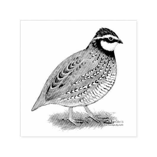 Bobwhite Quail Rooster Permastempel (Design)