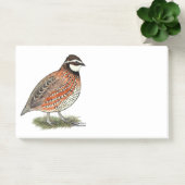Bobwhite Quail Rooster Post-it Klebezettel (Büro)