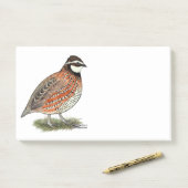 Bobwhite Quail Rooster Post-it Klebezettel (Auf Schreibtisch)