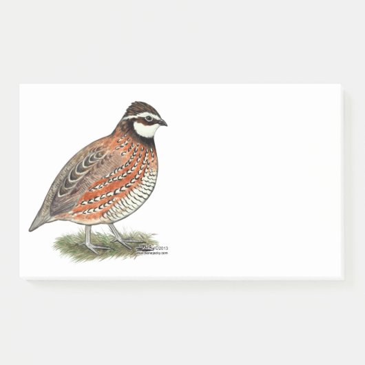 Bobwhite Quail Rooster Post-it Klebezettel (Vorderseite)