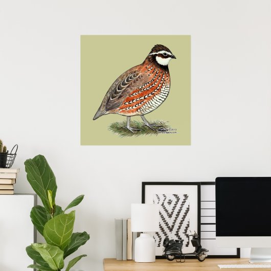 Bobwhite Quail Rooster Poster (Heimbüro)