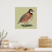 Bobwhite Quail Rooster Poster (Küche)