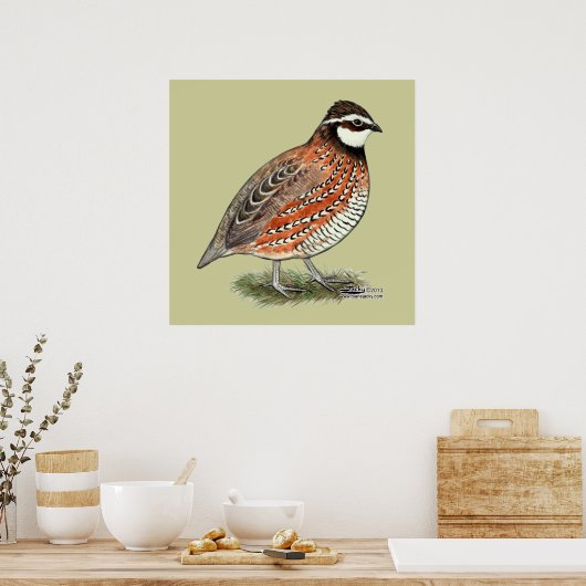 Bobwhite Quail Rooster Poster (Küche)