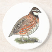 Bobwhite Quail Rooster Sandstein Untersetzer (Vorne)