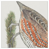 Bobwhite Quail Rooster Stoff (Nahaufnahme)