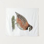 Bobwhite Quail Rooster Wandteppich (Vorderseite (Horizontal))