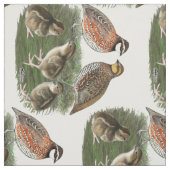 Bobwhite Quail Stoff (Muster)