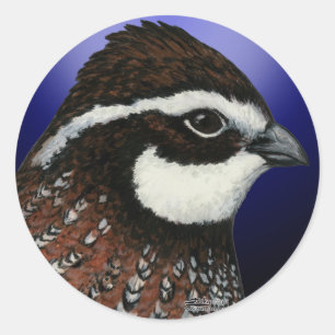 Bobwhite-Wachtel-Kopfkreis Runder Aufkleber