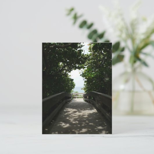 Boca Beach Boardwalk Postkarte (Stehend Vorderseite)