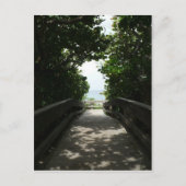 Boca Beach Boardwalk Postkarte (Vorderseite)