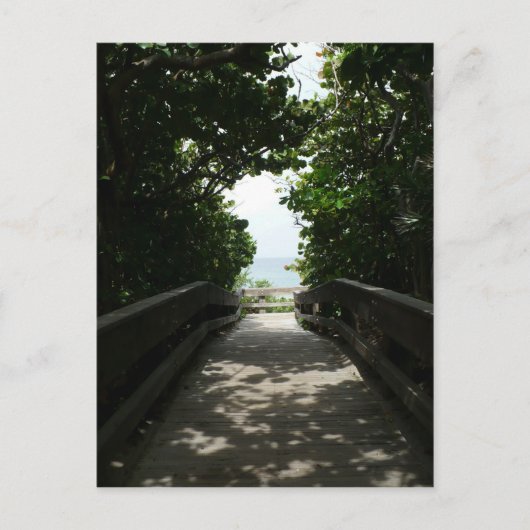 Boca Beach Boardwalk Postkarte (Vorderseite)