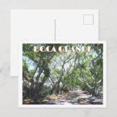 Boca Grande, Gasparilla Island, Florida Banyans Postkarte (Vorne/Hinten)