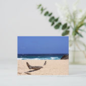 Boca Mahos Postkarte (Stehend Vorderseite)
