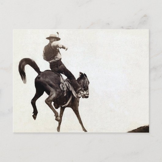 Bockender Bronco Postkarte (Vorderseite)