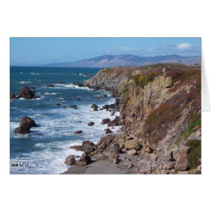 Bodega Bay