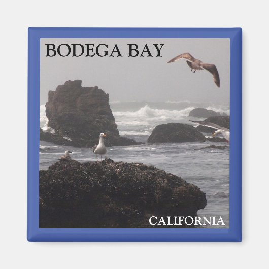 Bodega Bay-Magnet Magnet (Vorne)