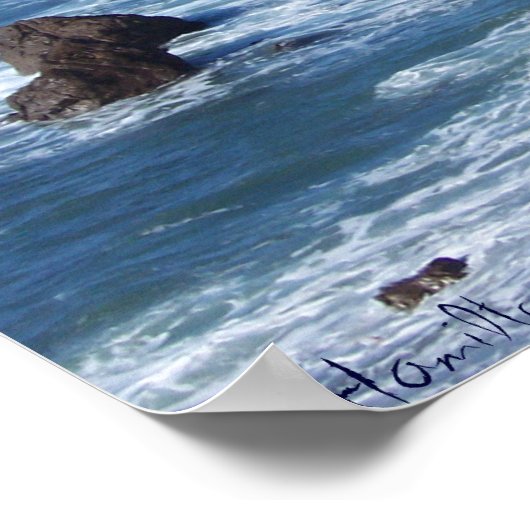 Bodega Bay Poster (Ecke)