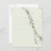 Bodega Bay Postkarte (Vorne/Hinten)