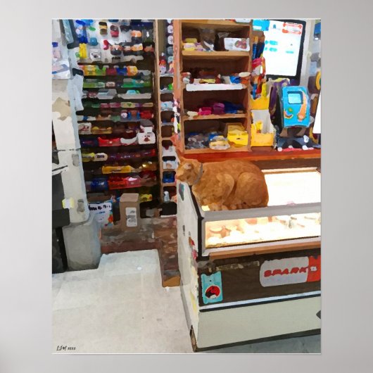 Bodega Cat Poster (Vorne)