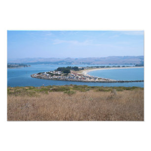 Bodega Harbor und Doran Park Fotodruck