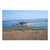 Bodega Harbour und Doran Park Fotodruck (Vorne)