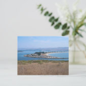 Bodega Harbour und Doran Park Postkarte (Stehend Vorderseite)