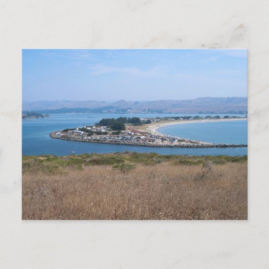 Bodega Harbour und Doran Park Postkarte (Vorderseite)