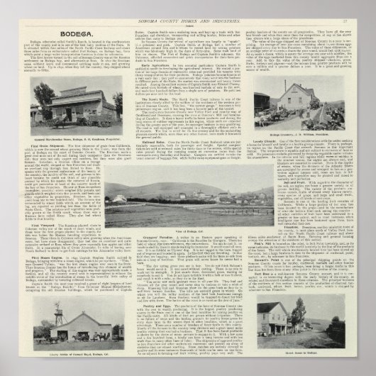 Bodega, Kalifornien Poster (Vorne)