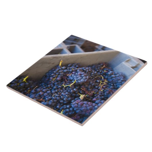 Bodega Marques de Riscal Fliese (Seite)