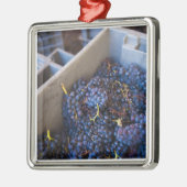 Bodega Marques de Riscal Weingut, Trauben Ornament Aus Metall (Links)