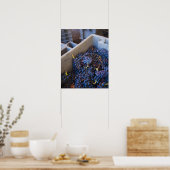 Bodega Marques de Riscal Weingut, Trauben Poster (Küche)