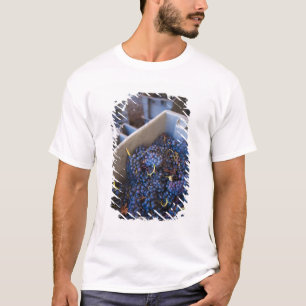 Bodega Marques de Riscal Weingut, Trauben T-Shirt