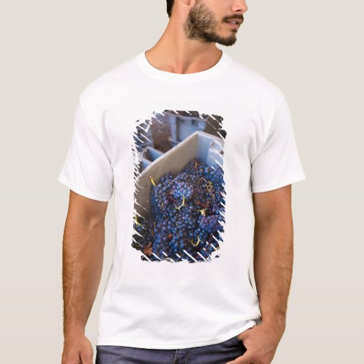 Bodega Marques de Riscal Weingut, Trauben T-Shirt (Vorderseite)