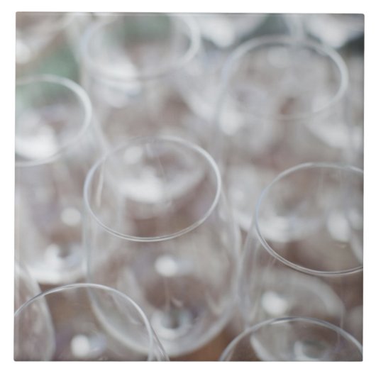 Bodega Marques de Riscal Weingut, Weinprobe Fliese (Vorderseite)